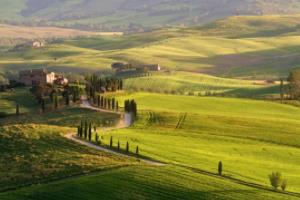 第一届世界杯足球赛，历史与影响第一届世界杯足球赛是在哪里举办的