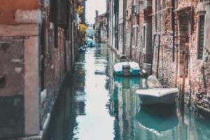 熊出没世界杯，一场欢乐与冒险的盛宴熊出没之世界杯